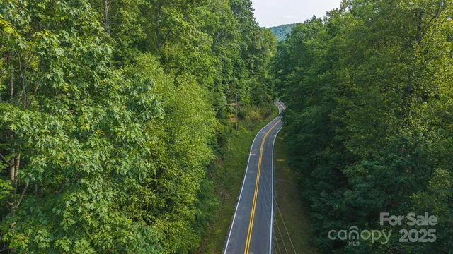 a view of a lush green forest with a street