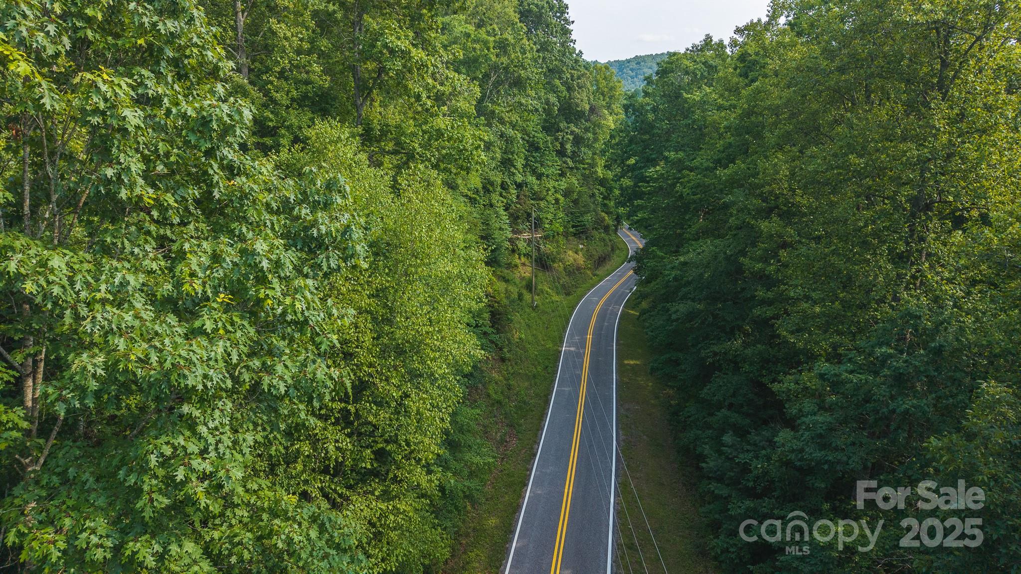 0 Brushy Mountain Road Moravian Falls, NC 28654 - Photo 15 of 26 a view of a yard