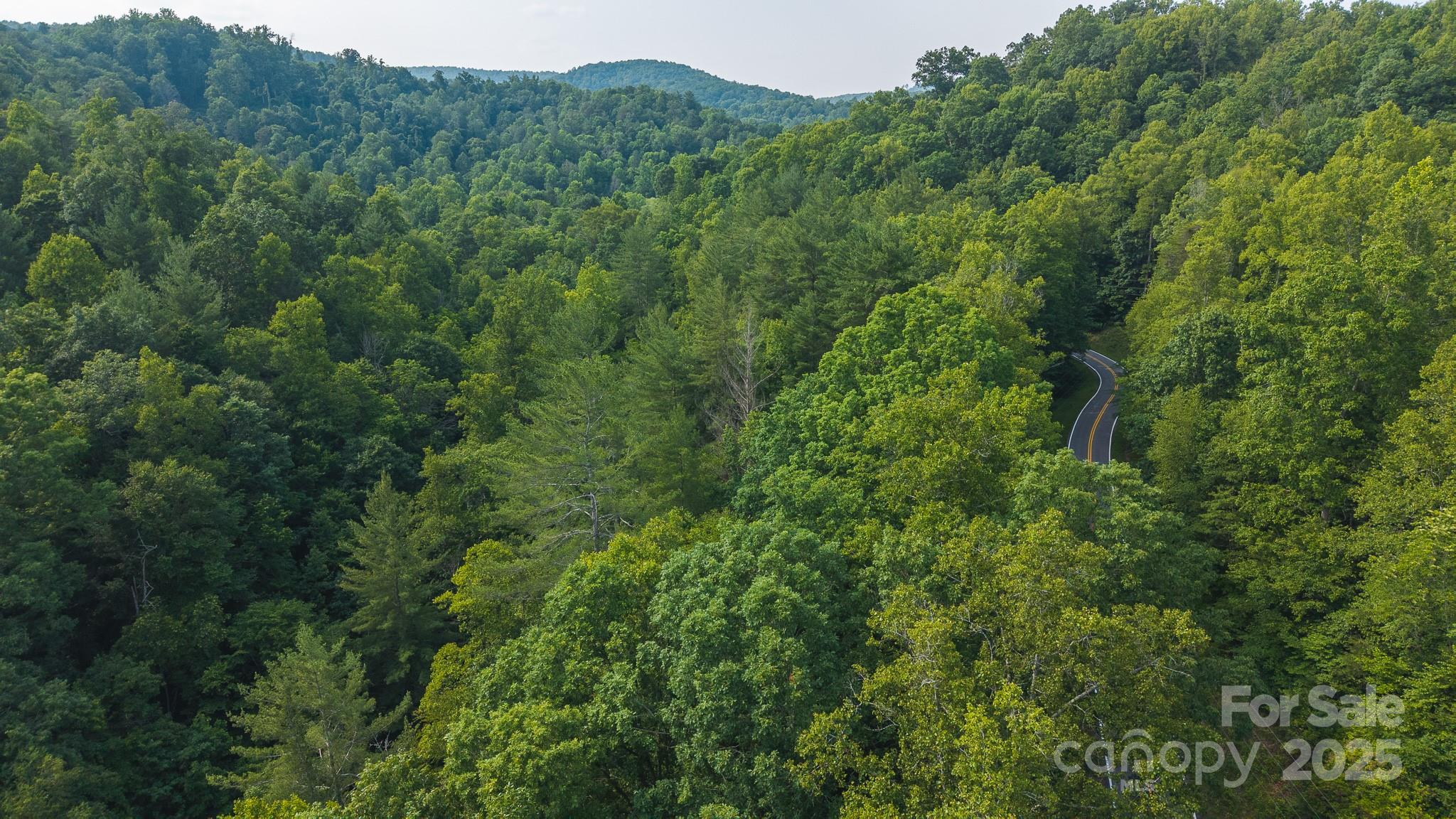 0 Brushy Mountain Road Moravian Falls, NC 28654 - Photo 16 of 26 a view of a lush green forest with a street
