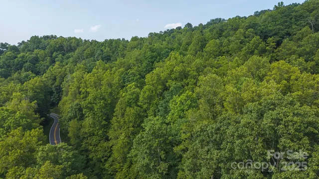 a view of a large yard with lots of green space