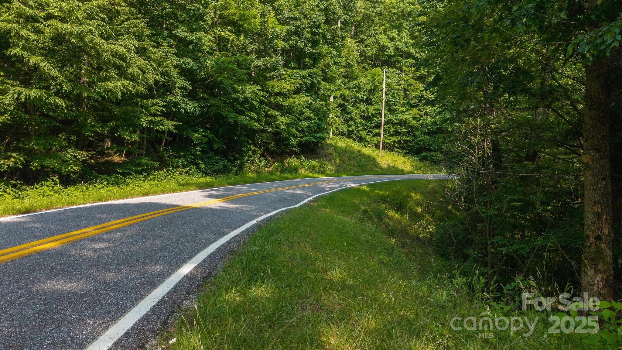 0 Brushy Mountain Road Moravian Falls, NC 28654 - Photo 2 of 26 a view of a yard with a house