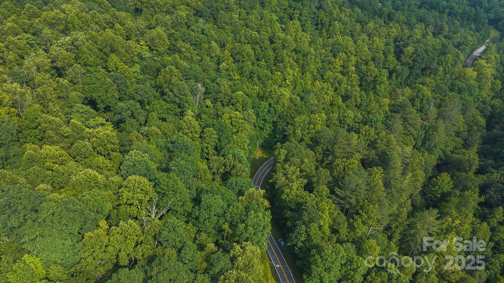 0 Brushy Mountain Road Moravian Falls, NC 28654 - Photo 21 of 26 a view of a lush green forest