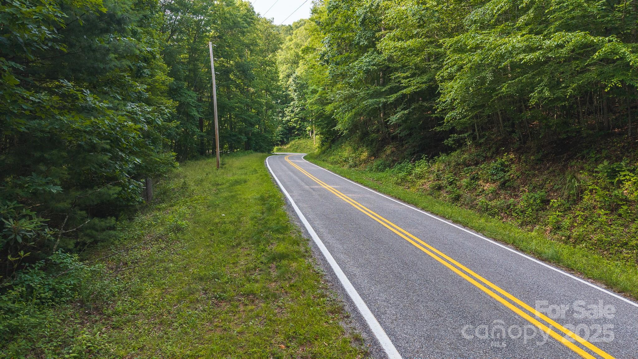 0 Brushy Mountain Road Moravian Falls, NC 28654 - Photo 23 of 26 a view of a yard with potted plants