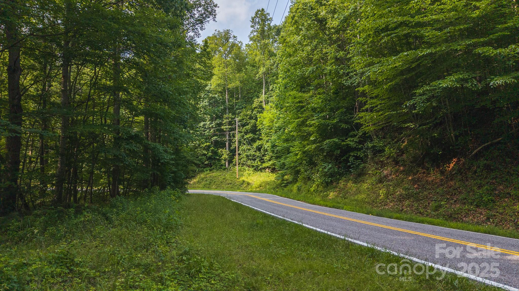 0 Brushy Mountain Road Moravian Falls, NC 28654 - Photo 24 of 26 a view of a yard with an outdoor space