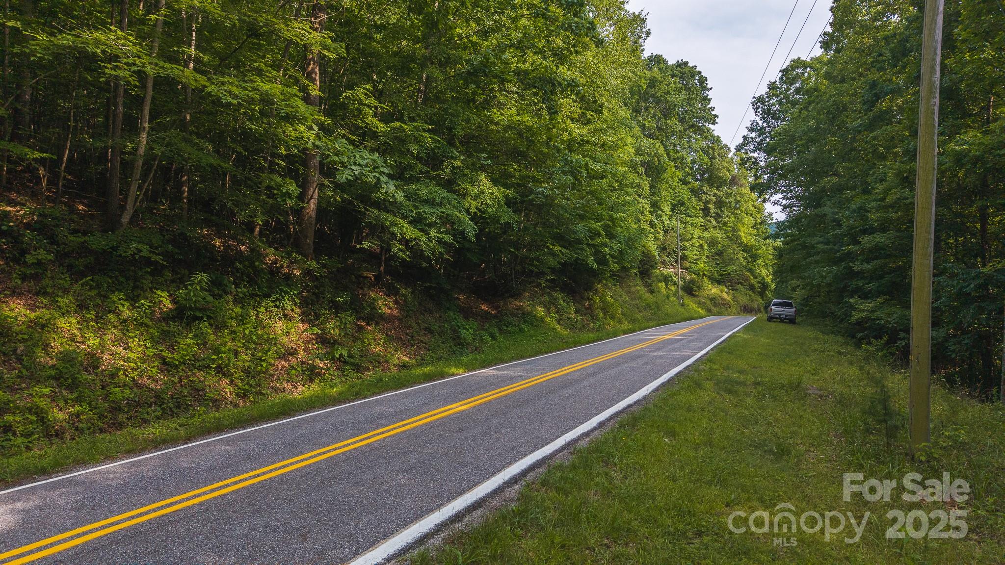 0 Brushy Mountain Road Moravian Falls, NC 28654 - Photo 25 of 26 a view of a yard with potted plants