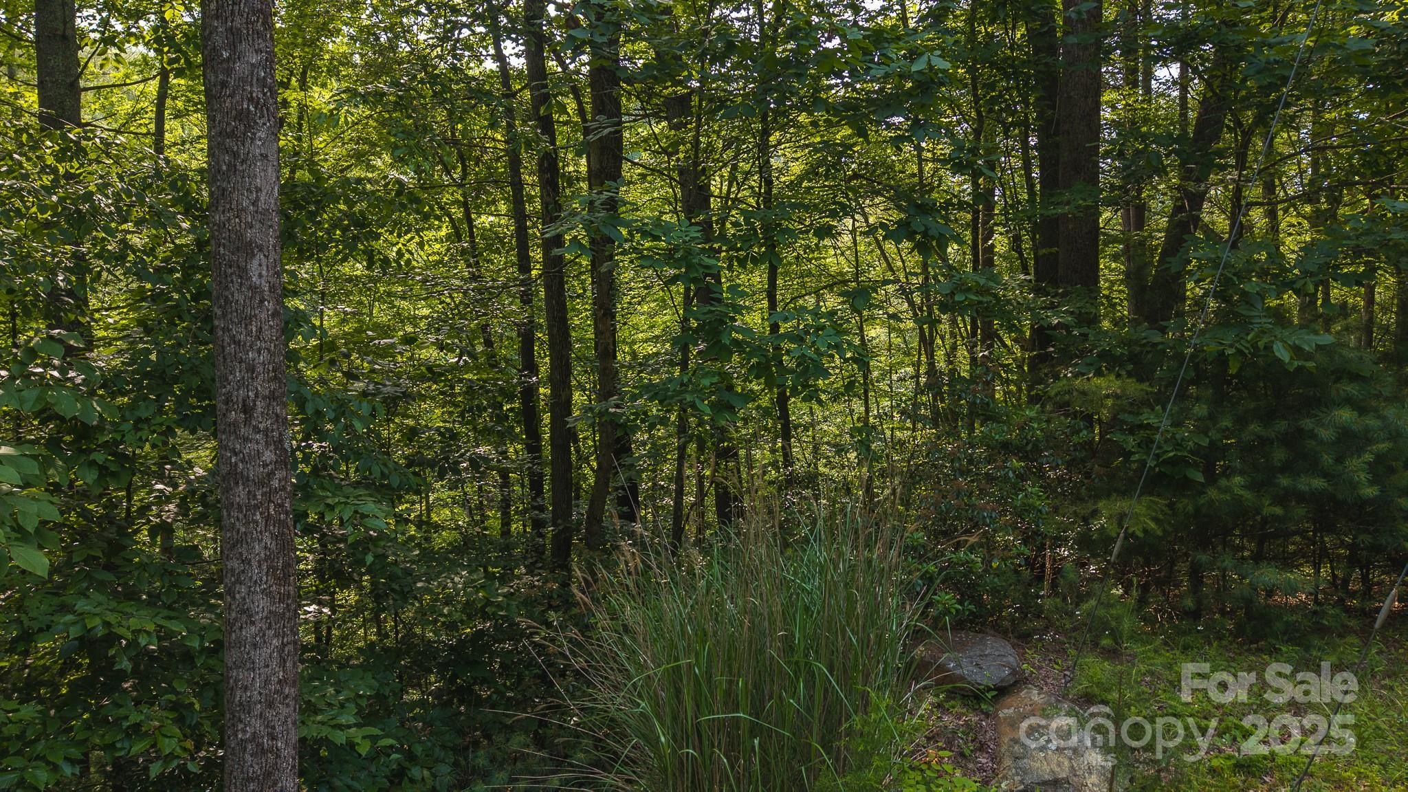 0 Brushy Mountain Road Moravian Falls, NC 28654 - Photo 26 of 26 a view of a yard