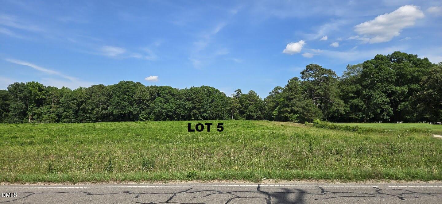 0 Lemon Springs Road Sanford, NC 27332 - Photo 8 of 8