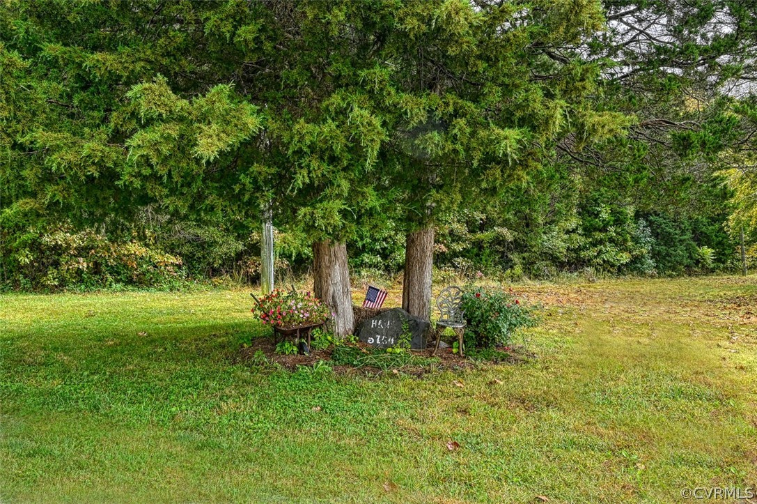 5764 Community House Road Columbia, VA 23038 - Photo 39 of 48 a view of a garden with plants