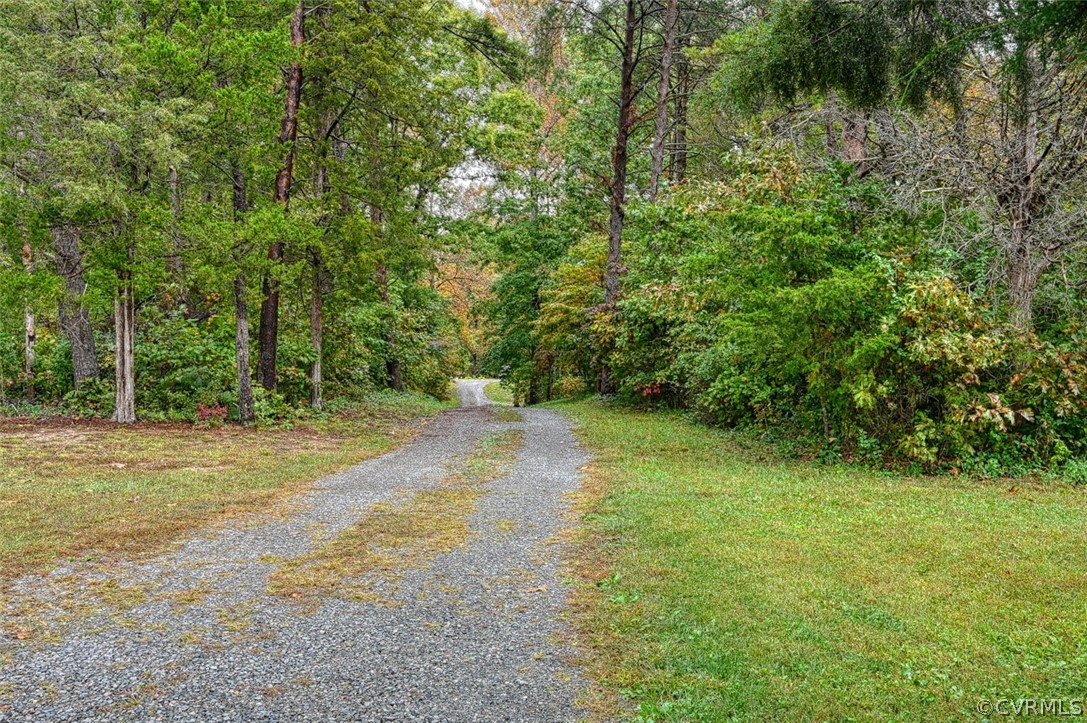 5764 Community House Road Columbia, VA 23038 - Photo 9 of 48 a view of a yard with a tree