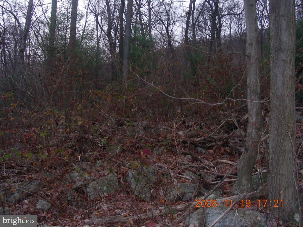 0 Rt 501 Bethel, PA 19507 - Photo 3 of 5 Gallery Image 3