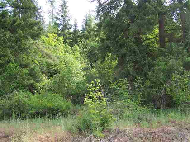 12 North Leclerc Road Cusick, WA 99119 - Photo 2 of 7