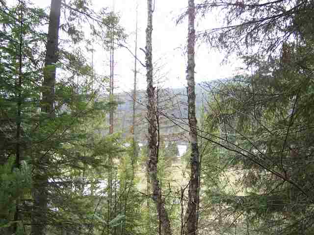 12 North Leclerc Road Cusick, WA 99119 - Photo 3 of 7