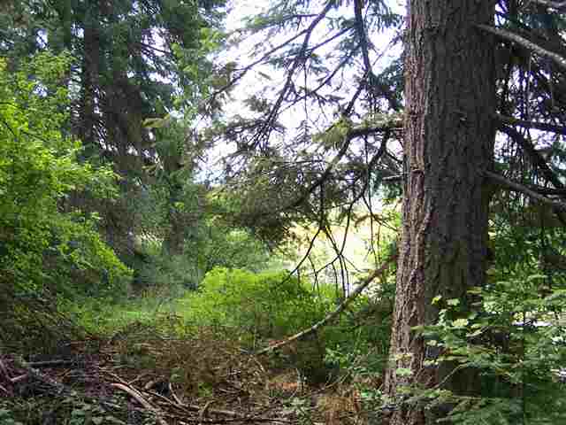 12 North Leclerc Road Cusick, WA 99119 - Photo 5 of 7