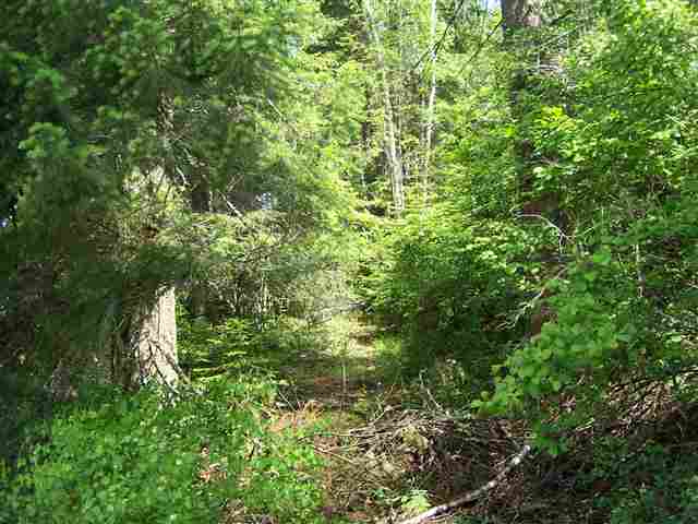 12 North Leclerc Road Cusick, WA 99119 - Photo 6 of 7