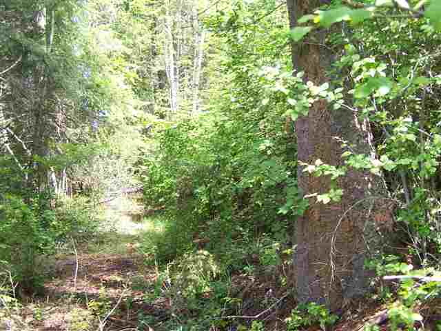12 North Leclerc Road Cusick, WA 99119 - Photo 7 of 7