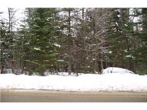 0 First Crownt Point Strafford, NH 03884 - Photo 3 of 4