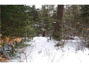 0 First Crownt Point Strafford, NH 03884 - Photo 4 of 4