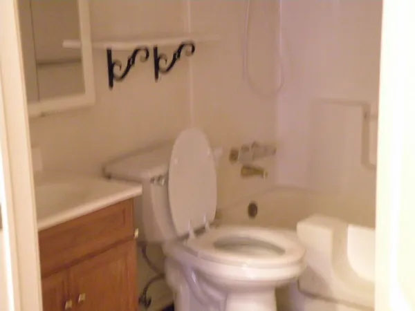 $1,100 | 822 Tangle Oaks Drive, Bellville, TX 77418