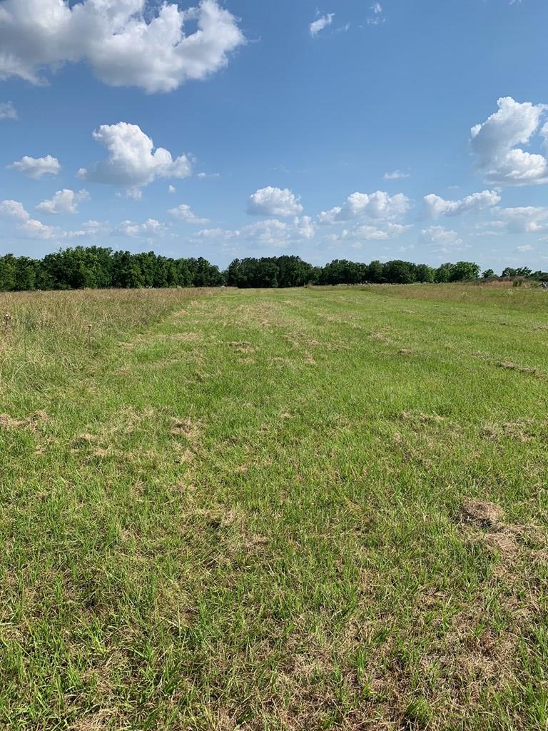Lot 1 South Co Road Ashford, AL 36312 - Photo 7 of 11