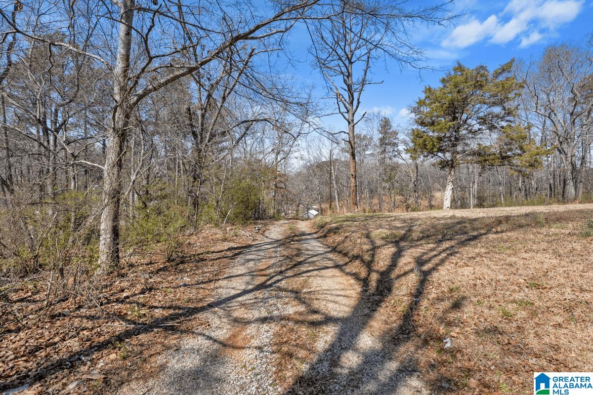 16 Claypit Road Anniston, AL 36201 - Photo 21 of 23