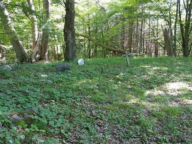 L59 Towner Hill Road Crown Point, NY 12928 - Photo 4 of 4 Photo 4