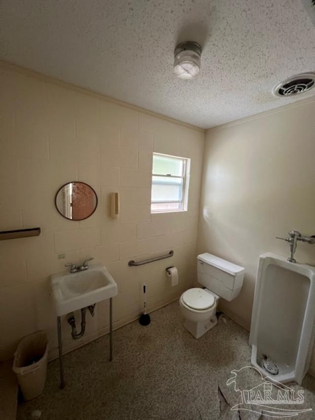 2360 Highway 4 Century, FL 32535 - Photo 11 of 12 a bathroom with a toilet a sink and a mirror
