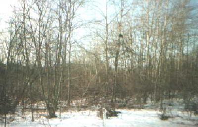 Reed Road, Unit PAR B Howard City, MI 49329 - Photo 1 of 1 Primary Photo