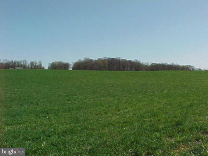 Rutledge Road Fallston, MD 21047 - Photo 1 of 2 Exterior (Main)