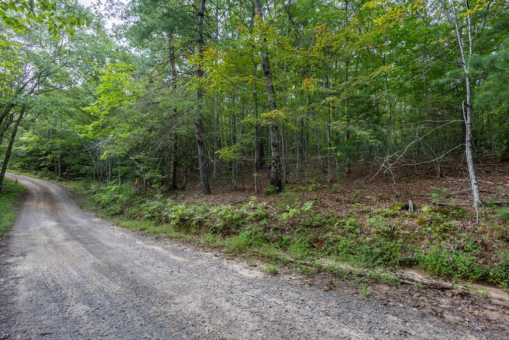 2-ac Horvath Road Murphy, NC 28906 - Photo 7 of 12