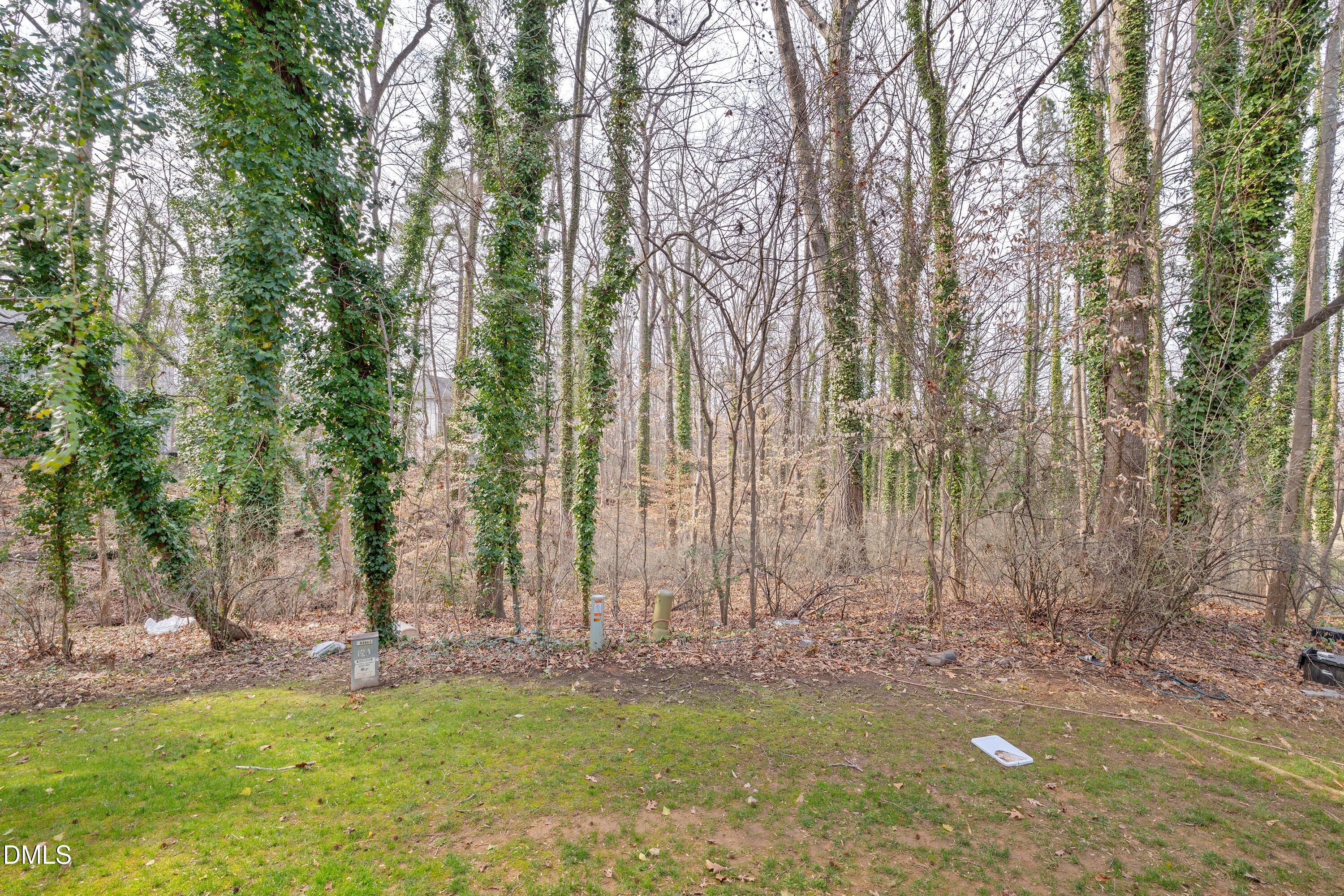 887 Dalewood Drive Raleigh, NC 27610 - Photo 19 of 21 a backyard of a house with lots of green space