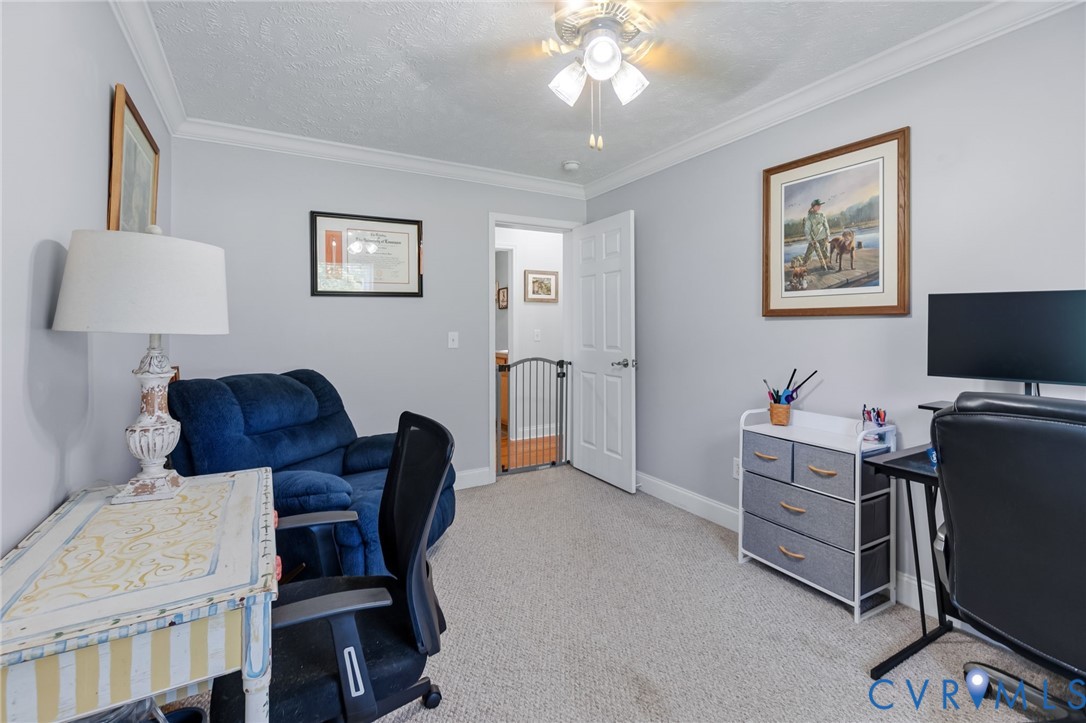 10910 Courthouse Road Dinwiddie, VA 23841 - Photo 27 of 38 Carpet flooring, light-toned wall paint, crown mol