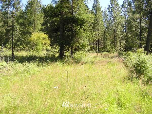 130 Stagecoach Trail Riverside, WA 98849 - Photo 3 of 15 Gallery Image 3