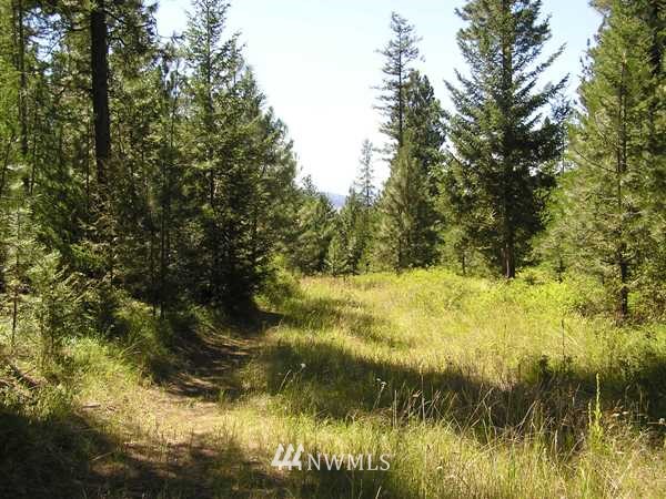 130 Stagecoach Trail Riverside, WA 98849 - Photo 4 of 15 Gallery Image 4