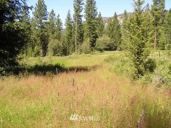 130 Stagecoach Trail Riverside, WA 98849 - Photo 8 of 15 Gallery Image 8