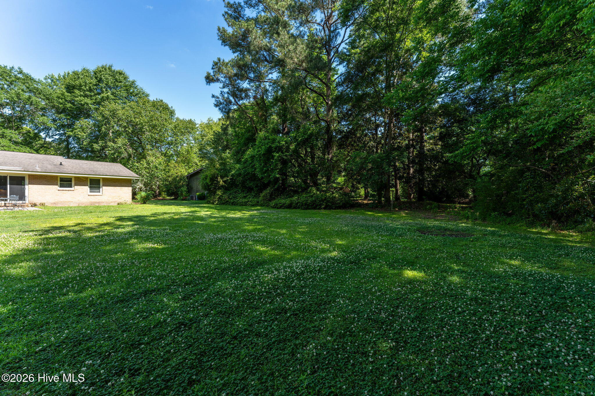 160 Gail Road Willard, NC 28478 - Photo 35 of 38 exteriors-27