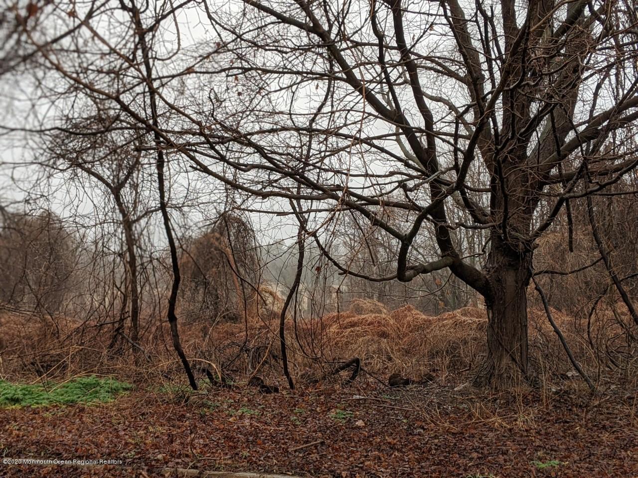 5 Eagle Nest Road Colts Neck, NJ 07722 - Photo 4 of 7 eaglenest1