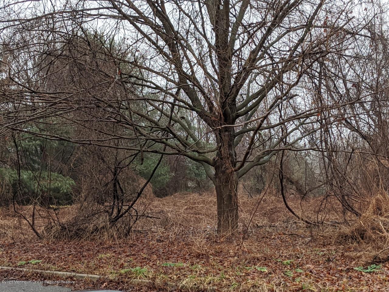 5 Eagle Nest Road Colts Neck, NJ 07722 - Photo 6 of 7 eaglenest3