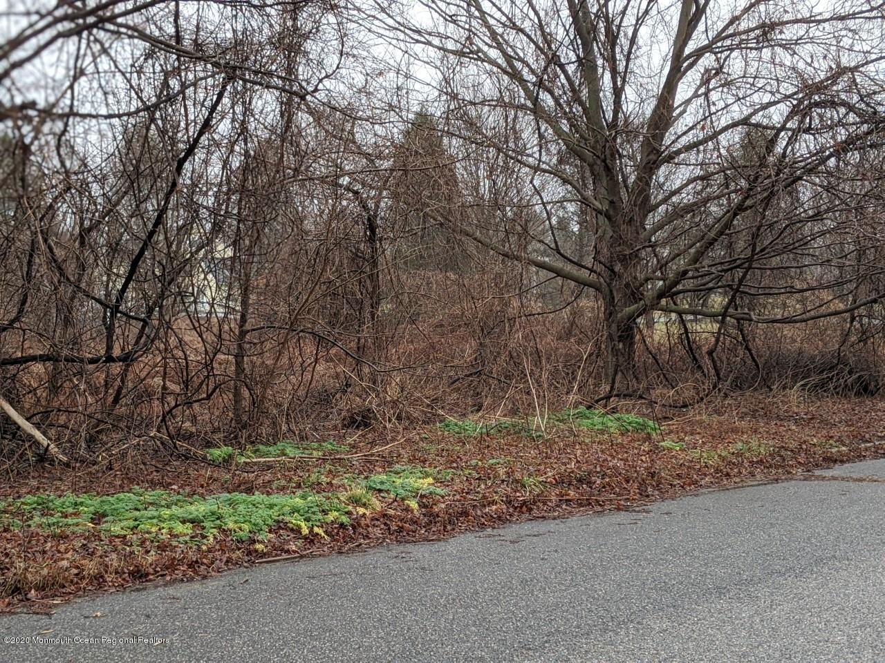 5 Eagle Nest Road Colts Neck, NJ 07722 - Photo 7 of 7 eaglenest4