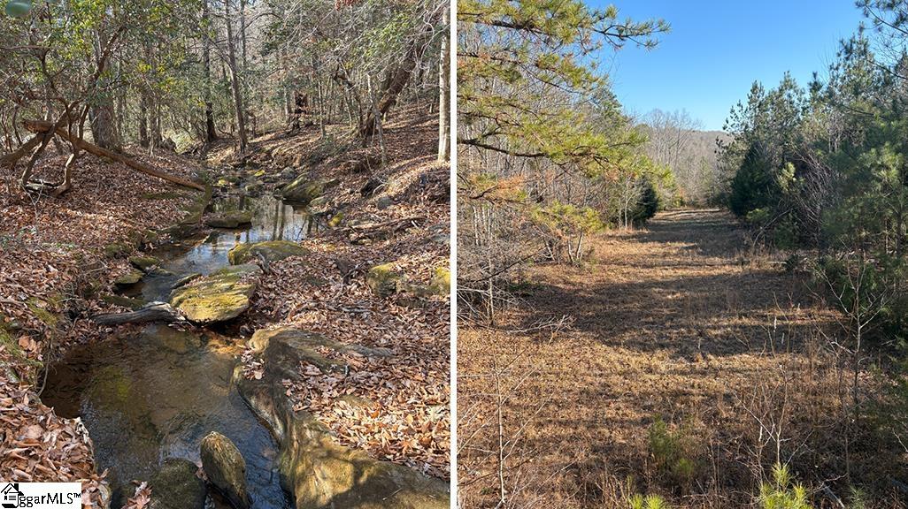 0 Painter Road Pelzer, SC 29669 - Photo 14 of 17