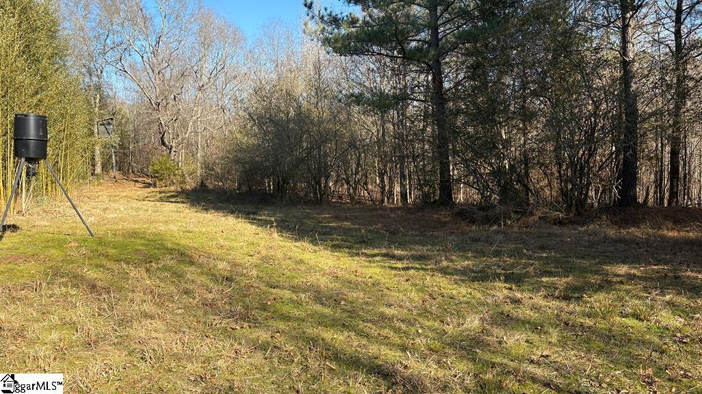 0 Painter Road Pelzer, SC 29669 - Photo 15 of 17