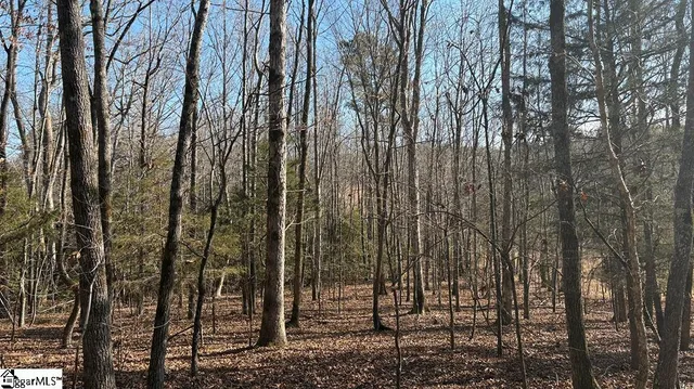 $2,625,000 | 0 Painter Road, Pelzer, SC 29669