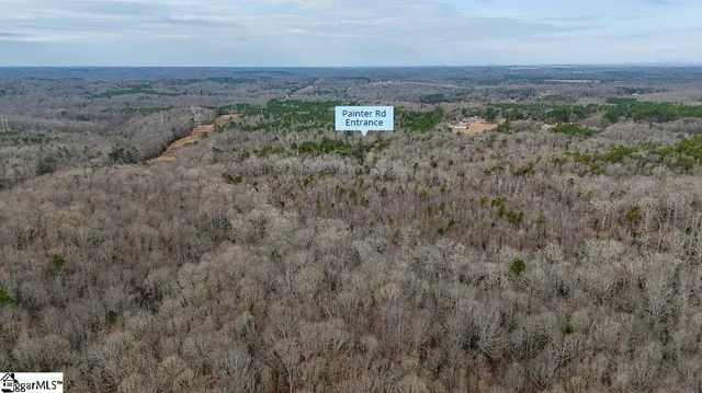 $2,625,000 | 0 Painter Road, Pelzer, SC 29669
