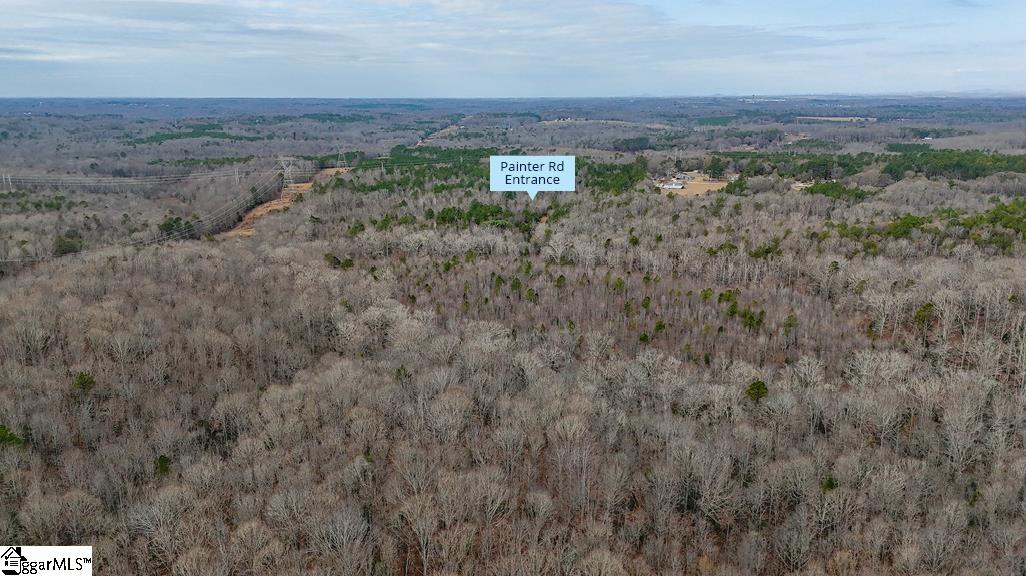 0 Painter Road Pelzer, SC 29669 - Photo 2 of 17