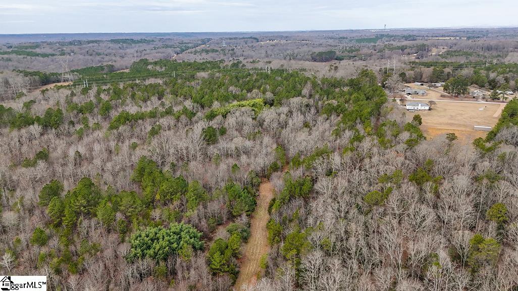 0 Painter Road Pelzer, SC 29669 - Photo 3 of 17