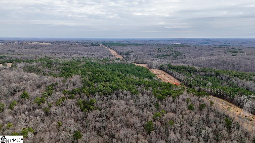 0 Painter Road Pelzer, SC 29669 - Photo 4 of 17