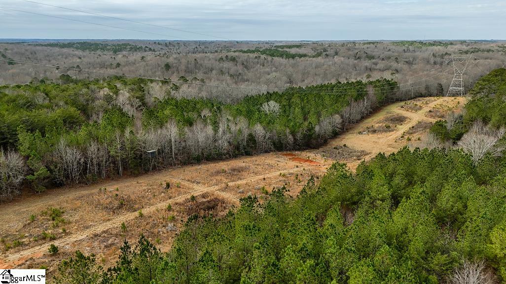 0 Painter Road Pelzer, SC 29669 - Photo 8 of 17