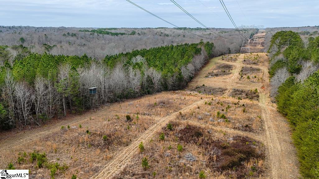 0 Painter Road Pelzer, SC 29669 - Photo 9 of 17