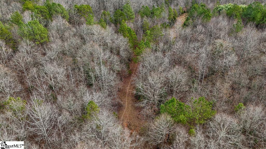 0 Painter Road Pelzer, SC 29669 - Photo 10 of 17