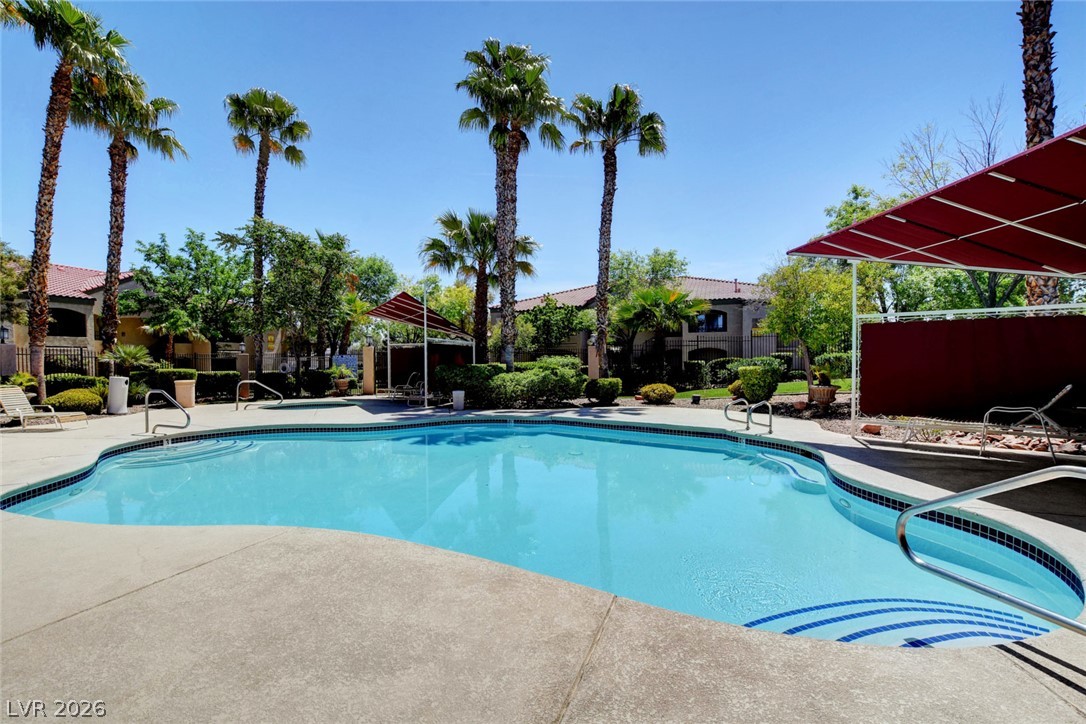 7885 West Flamingo Road, Unit 1050 Las Vegas, NV 89147 - Photo 41 of 62 A refreshing swimming pool awaits amidst lush landscaping and towering palm trees.