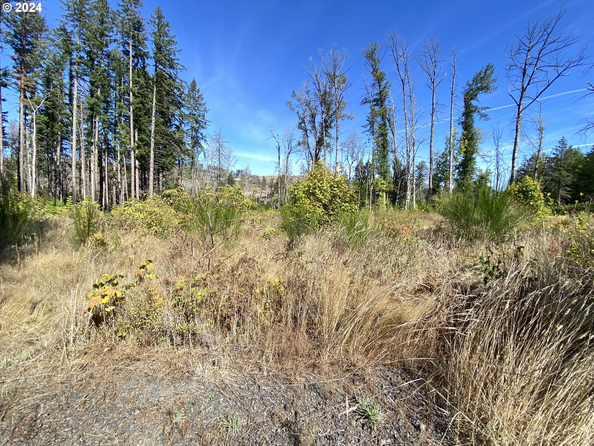 23545 North Fork Road Southeast Lyons, OR 97358 - Photo 11 of 12 a view of backyard with green space